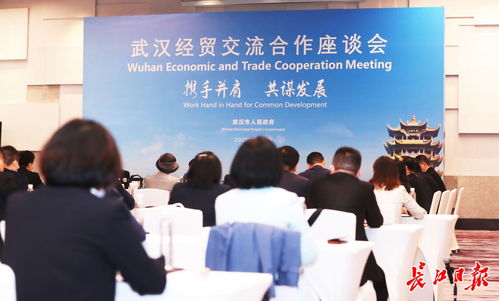 武汉经贸交流合作座谈会上,17家世界知名企业喊话 投资武汉的决心只会继续加大